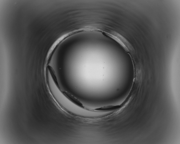 X0000086081196200703301121