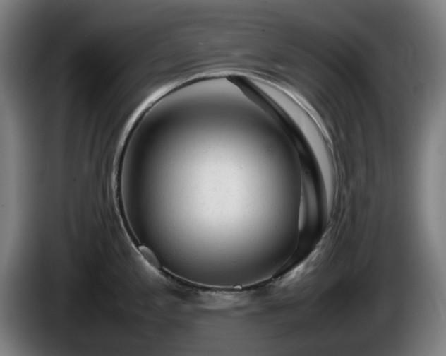 X0000086081197200703301121