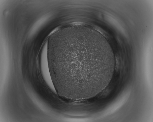 X0000086081198200703301121