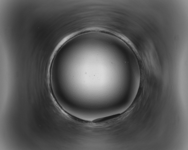 X0000086081199200703301121