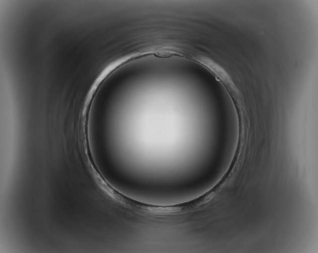 X0000086081200200703301121