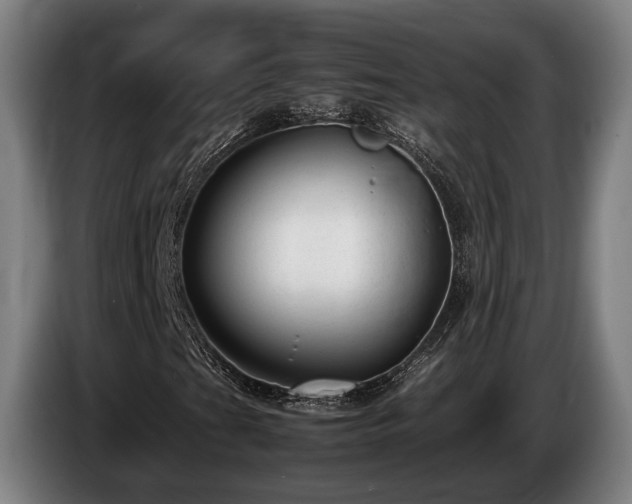 X0000086081201200703301120