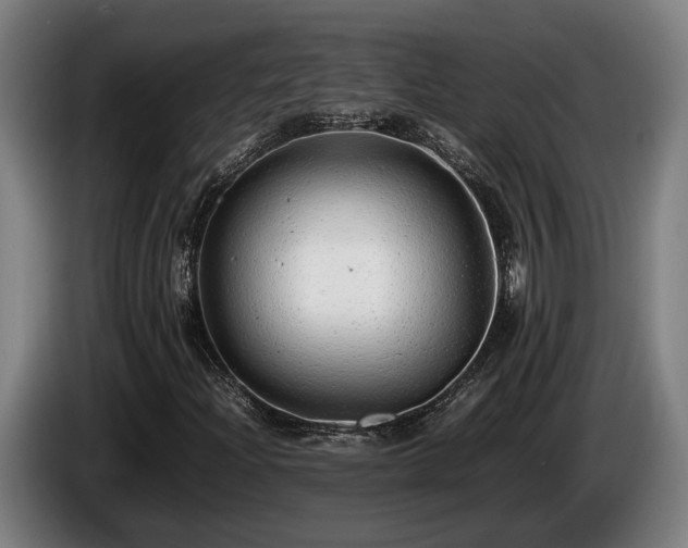 X0000086081204200703301120