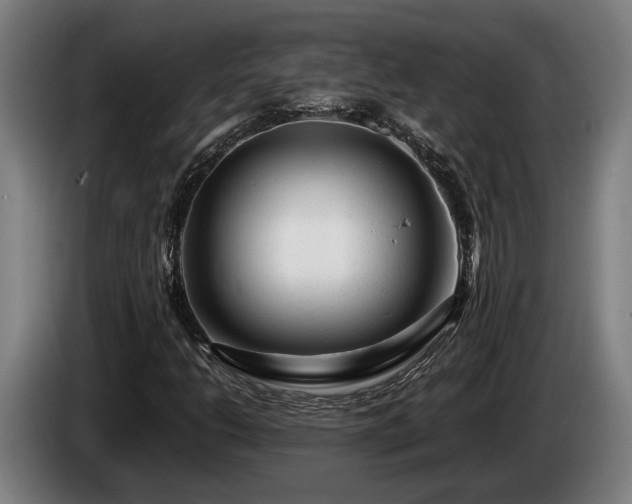 X0000086081206200703301120