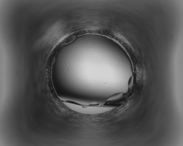 X0000086081208200703301121