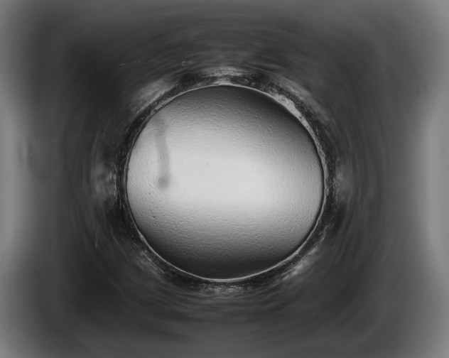 X0000086081209200703301121