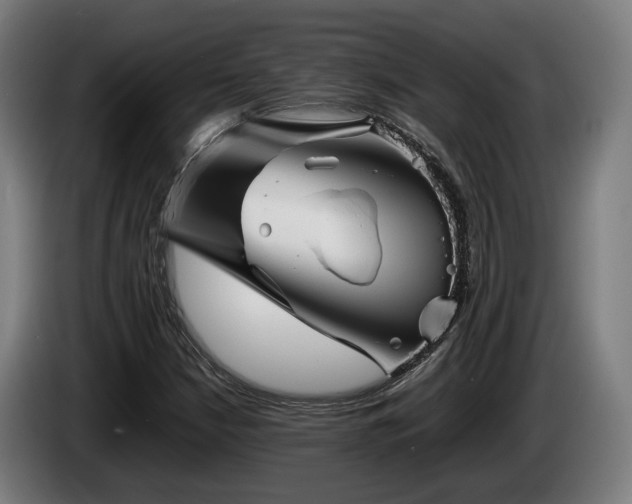 X0000086081210200703301121