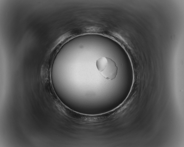 X0000086081211200703301121