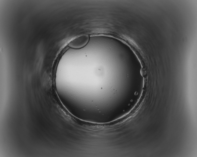 X0000086081212200703301121