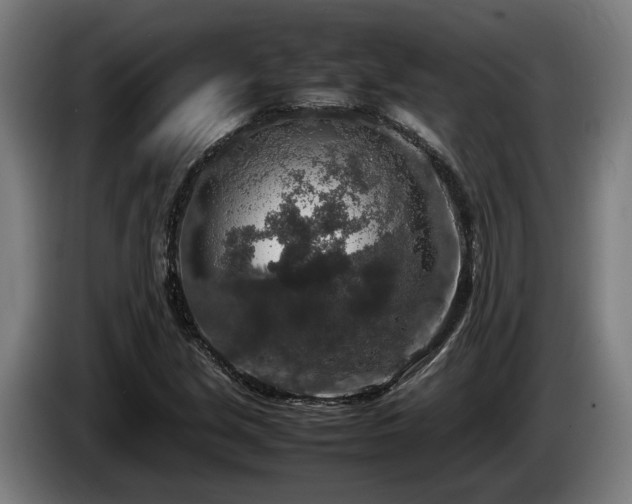 X0000086081213200703301121