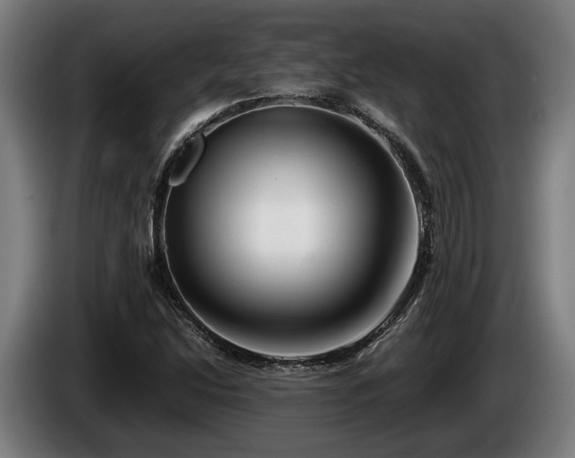 X0000086081214200703301121