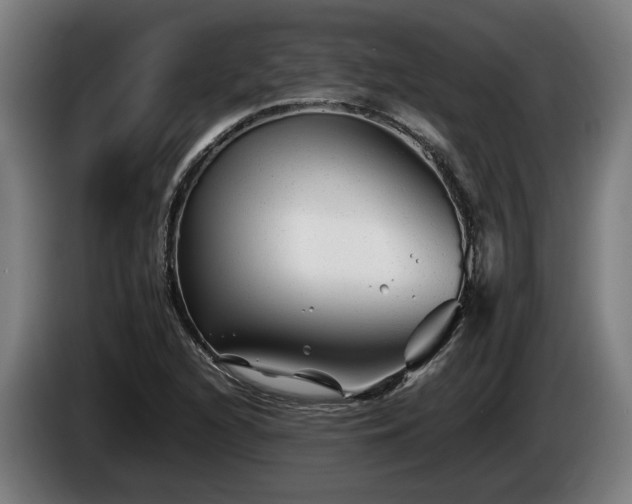 X0000086081216200703301121