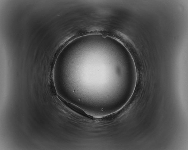 X0000086081217200703301121