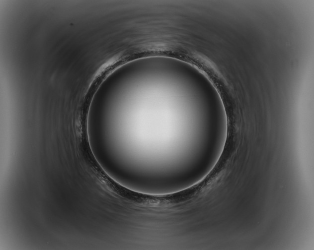 X0000086081218200703301121