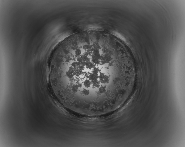 X0000086081219200703301121