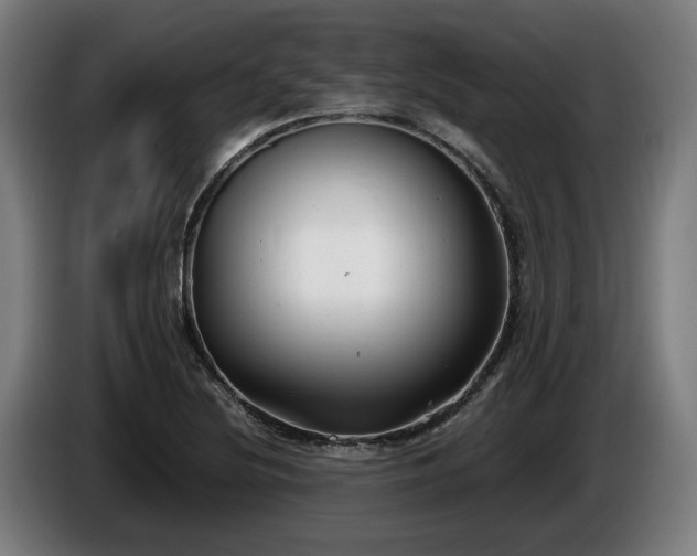 X0000086081220200703301121