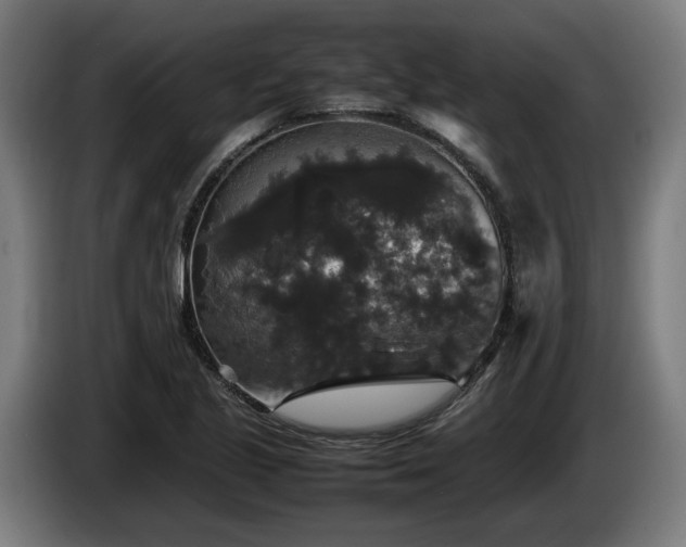 X0000086081221200703301121