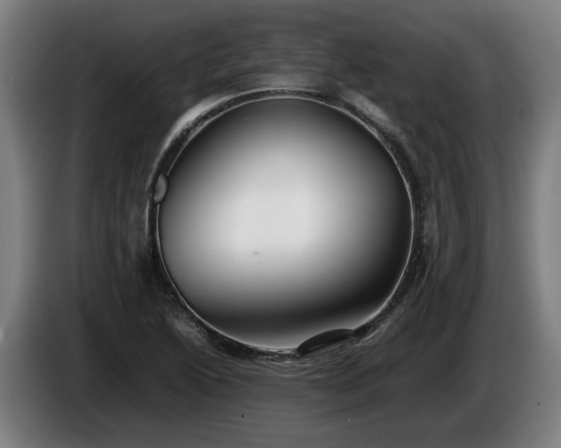 X0000086081222200703301121