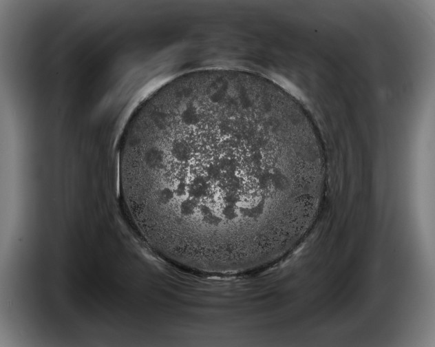 X0000086081223200703301121