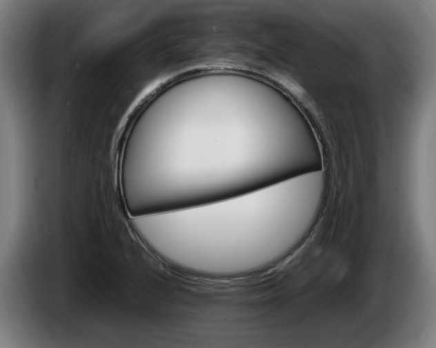 X0000086081224200703301121