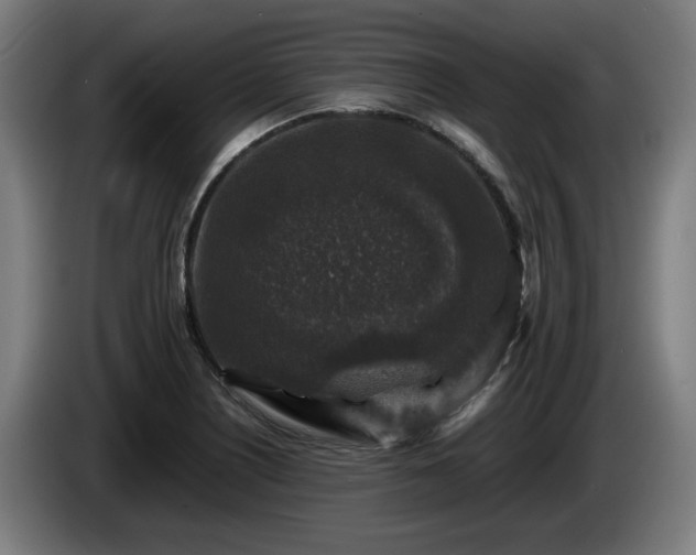 X0000086081226200703301121