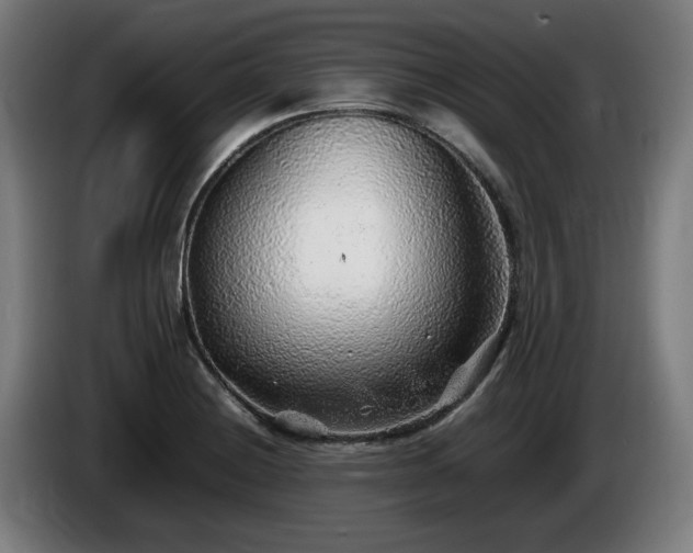 X0000086081228200703301121