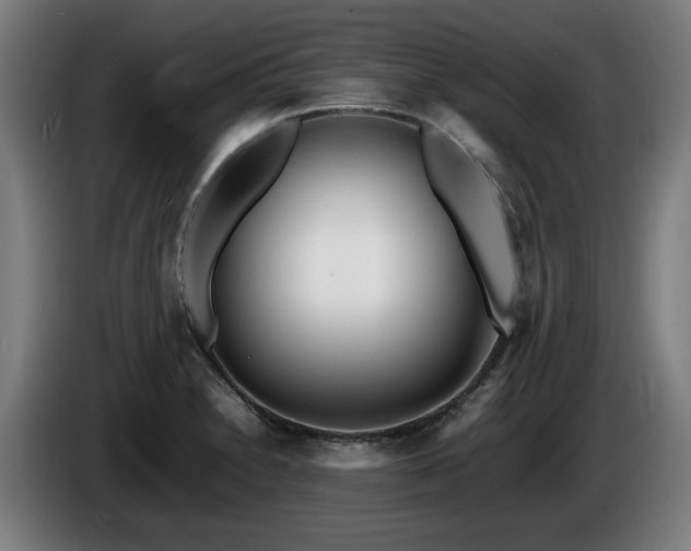 X0000086081230200703301121