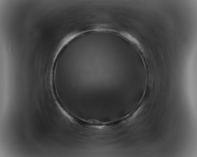 X0000086081231200703301121