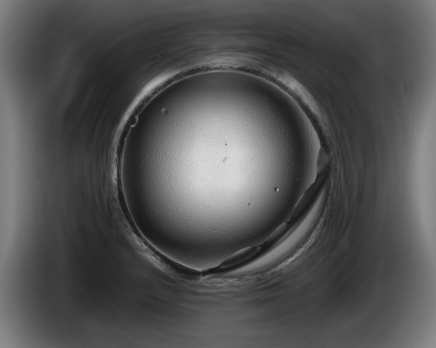 X0000086081232200703301121