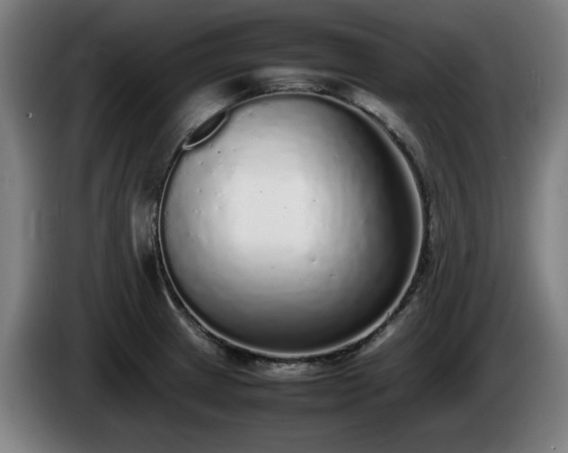 X0000086081233200703301121