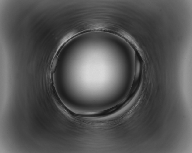 X0000086081234200703301121