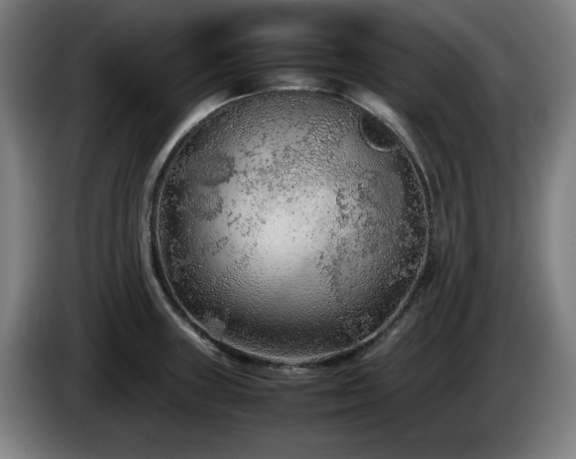 X0000086081235200703301121