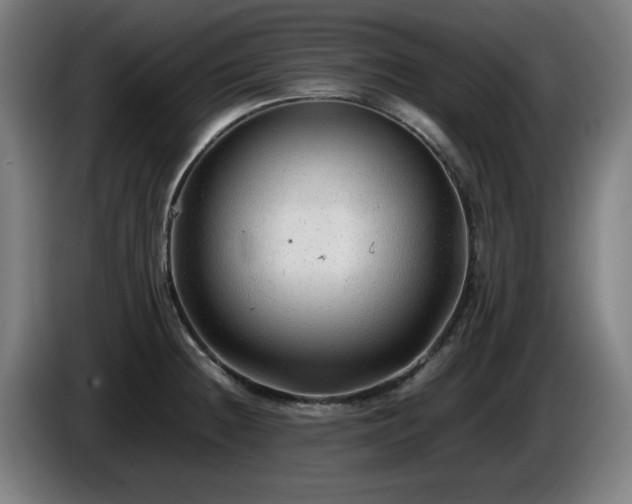 X0000086081236200703301121