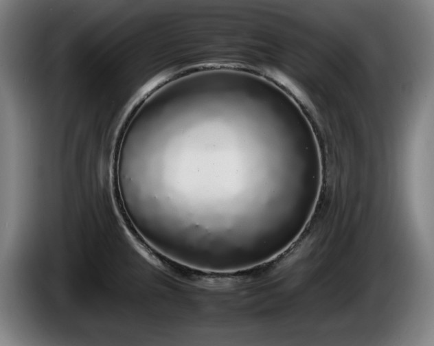 X0000086081237200703301121