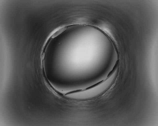 X0000086081238200703301121