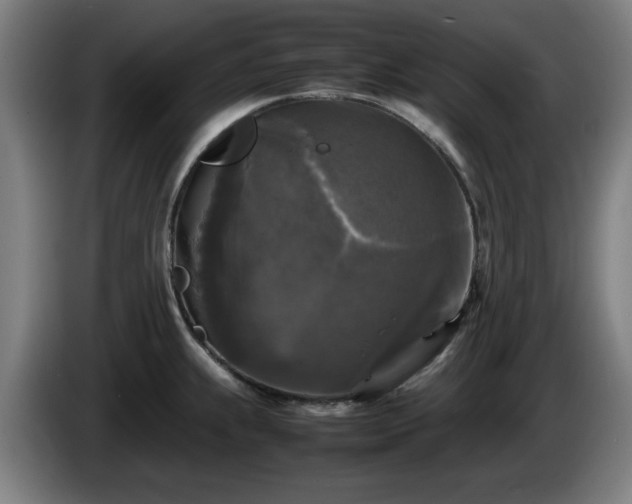 X0000086081239200703301121