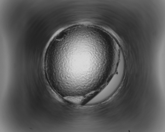 X0000086081240200703301121