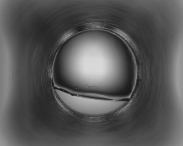 X0000086081241200703301121