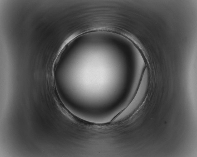 X0000086081242200703301121