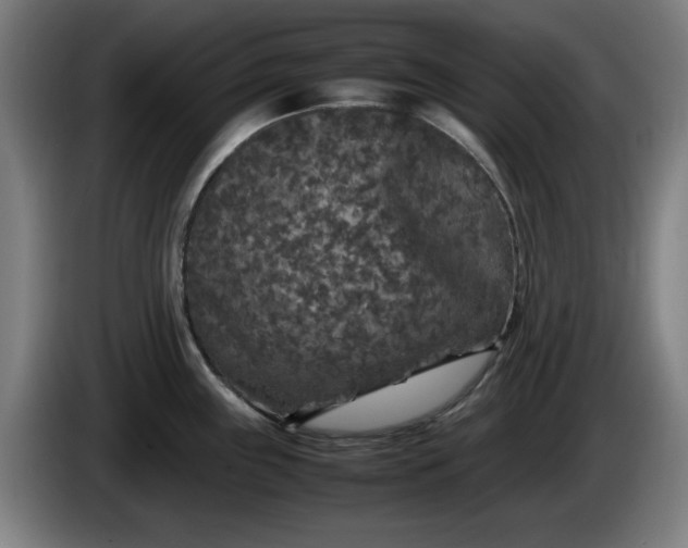 X0000086081243200703301121