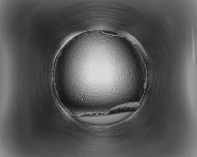 X0000086081244200703301121