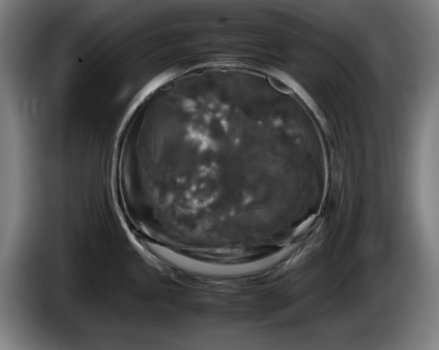 X0000086081245200703301121