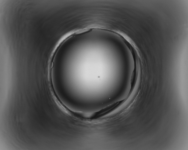 X0000086081246200703301121