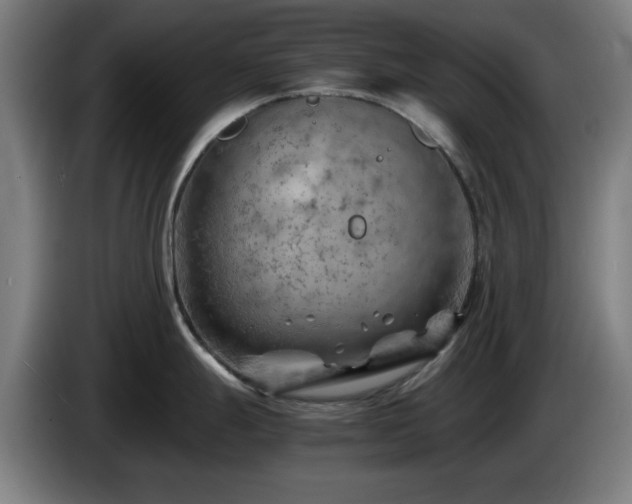 X0000086081247200703301121