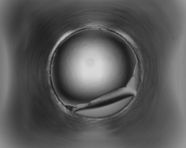 X0000086081248200703301121