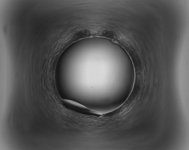 X0000086081249200703301120