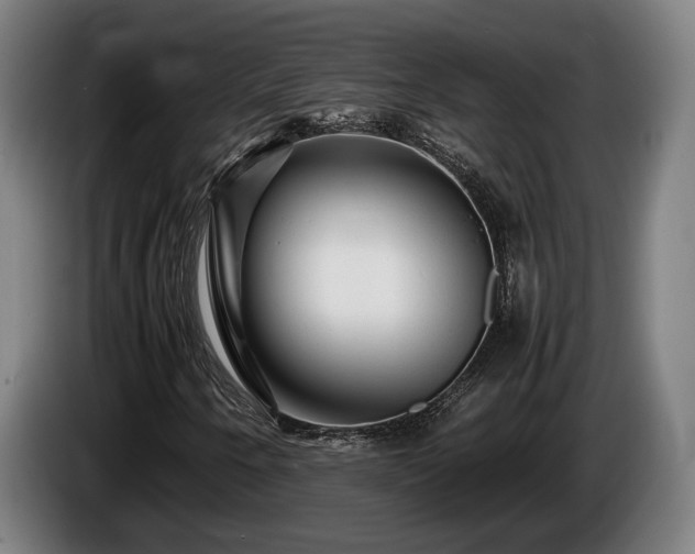 X0000086081250200703301120