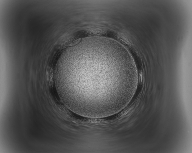 X0000086081251200703301120