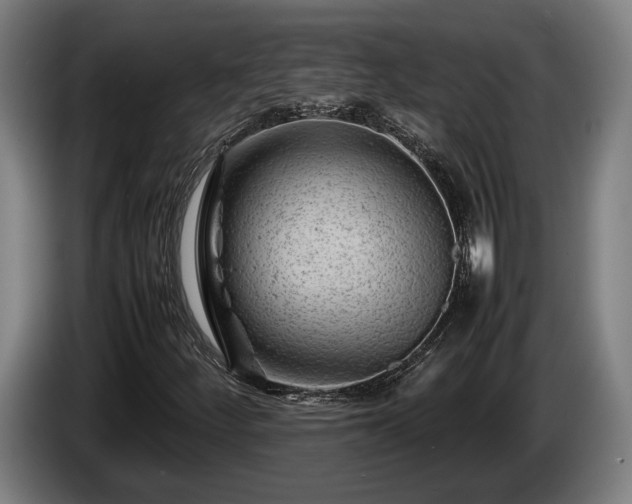 X0000086081252200703301120