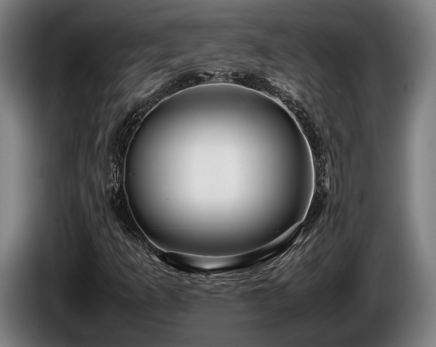 X0000086081253200703301120